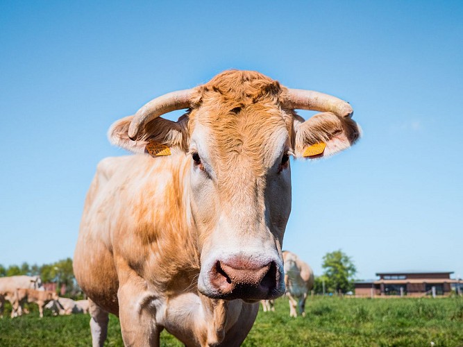 La maison Blanche et la Ferme des Trois Portes