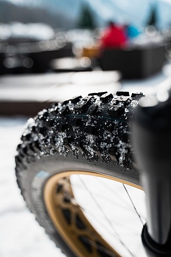 Ecole VTTAE / E-Bike - Wattsup Fat Bike