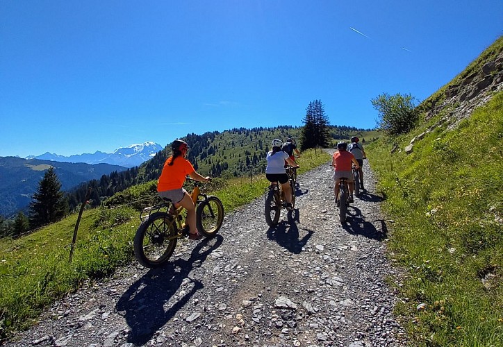 Ecole VTTAE / E-Bike - Wattsup Fat Bike