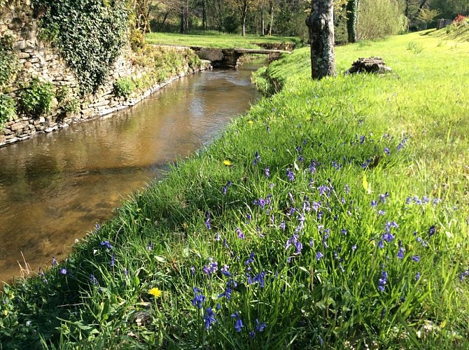 Gite "Le Moulin De Pont Pery" à Saint Martin Le Vieux en Haute-Vienne (Nouvelle Aquitaine). Le ruisseau_9