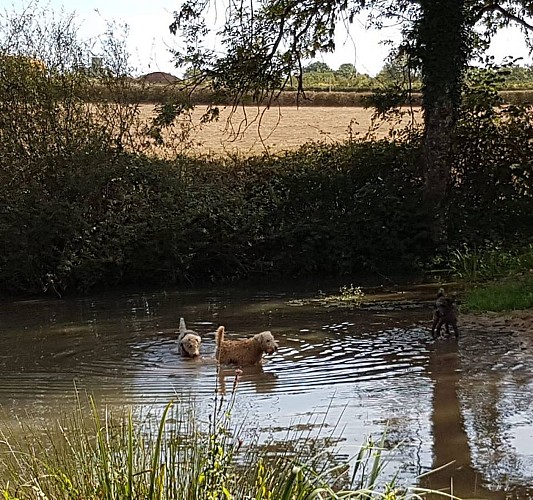 Camping domaine le Gui 4