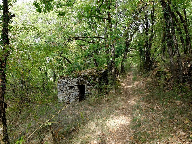 Vers le hameau du Mas de Jammes