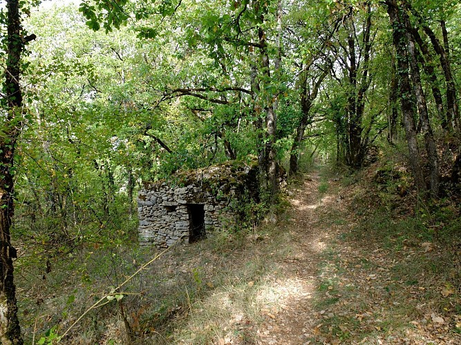 Vers la Côte Folle et le point de vue sur le village de La Rouquette