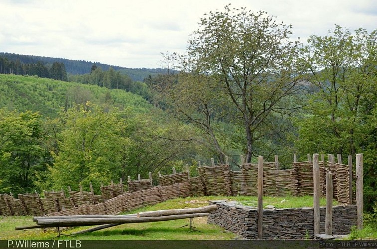 La forteresse celtique du "Cheslé" (13 hectares - Patrimoine majeur de Wallonie )