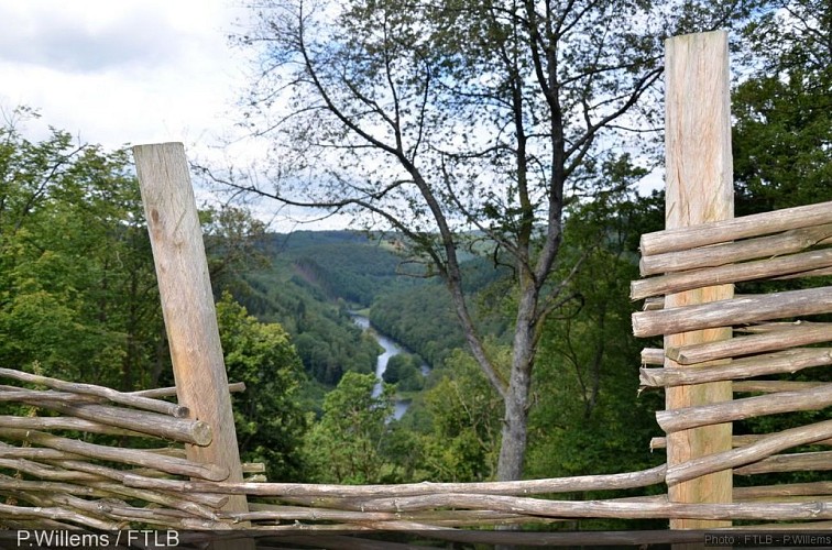 La forteresse celtique du "Cheslé" (13 hectares - Patrimoine majeur de Wallonie )