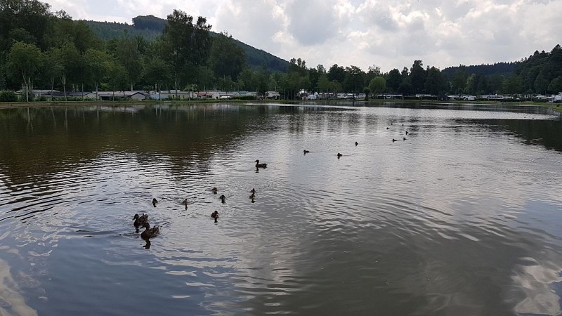 20210709_120412 (Copier)