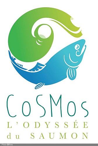 Cosmos_logo (002).jpg