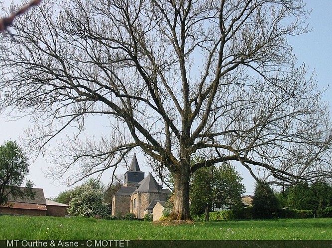 Kerk Saint-Antoine et des Saints-Pierre-et-Paul