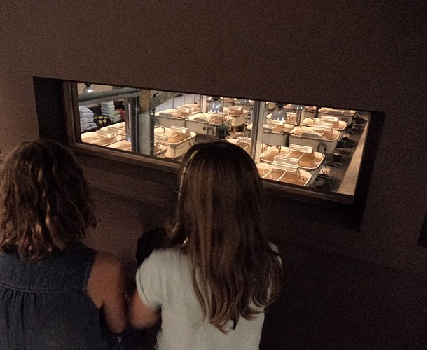 Espace didactique Cosmos