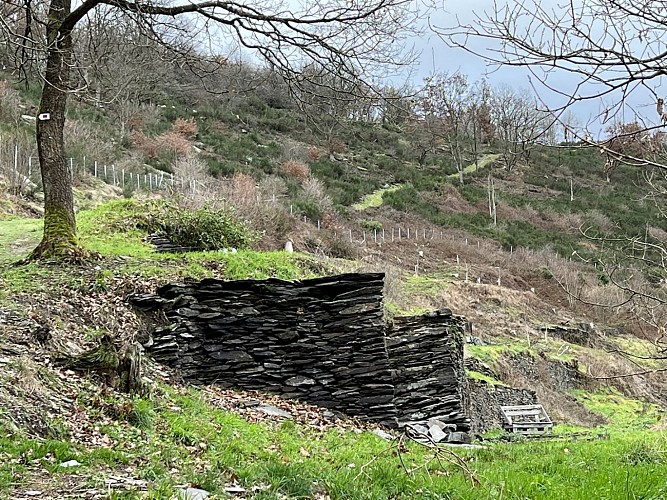 11 points de vue La Roche - Colette Mottet (22) (Copier)