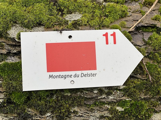 11 points de vue La Roche - Colette Mottet (23) (Copier)