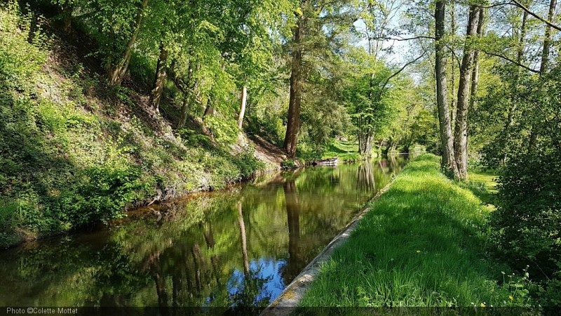 Arboretum Lenoir17.jpg