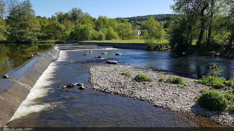 Arboretum Lenoir4.jpg