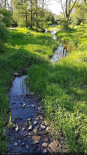 Arboretum Lenoir12.jpg