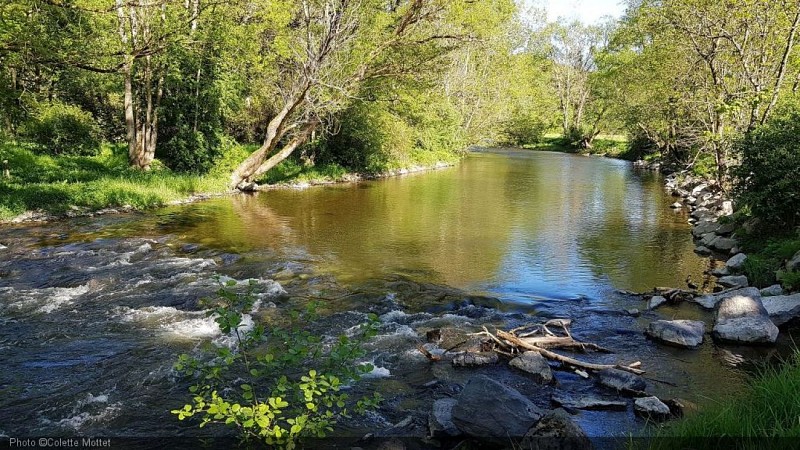 Arboretum Lenoir8.jpg