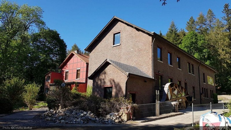 Arboretum Lenoir7.jpg