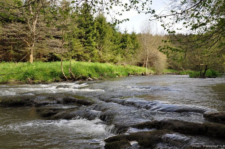 Haus des Naturparks der Zwei Ourthes