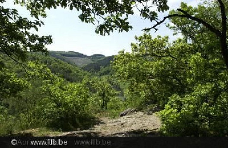 House of the Natural Park of the Two Ourthes