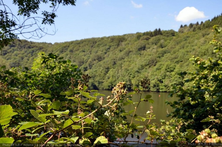 Point de vue lac nisramont 3.jpg