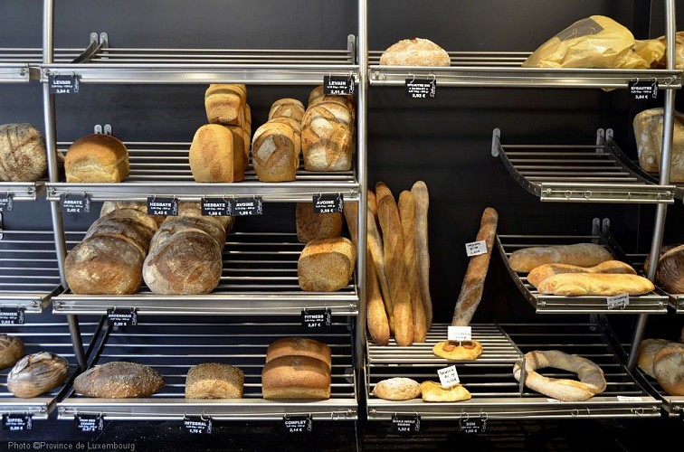 _DSC9028 réduite.jpg