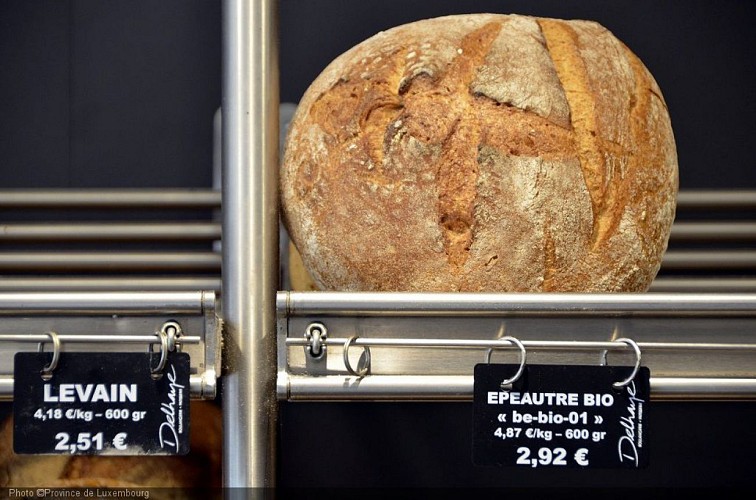 _DSC9030 réduite.jpg