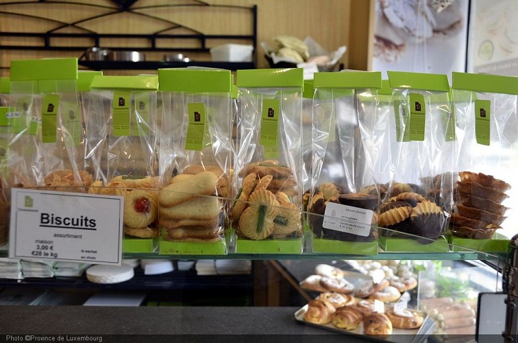 _DSC9049 réduite.jpg