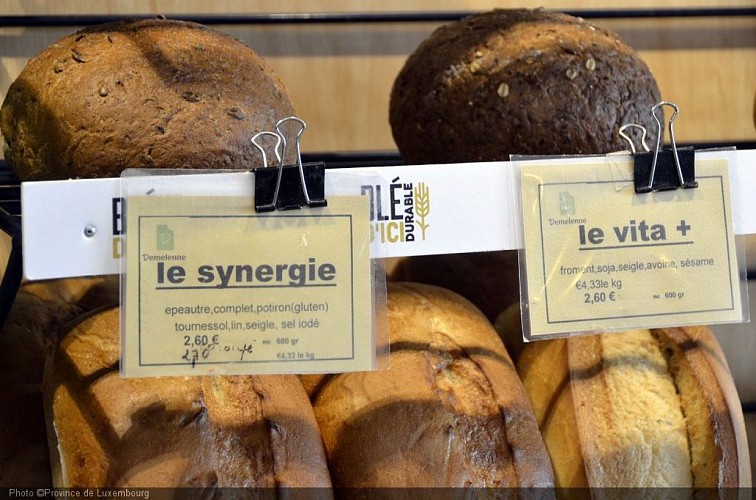 _DSC9046 réduite.jpg