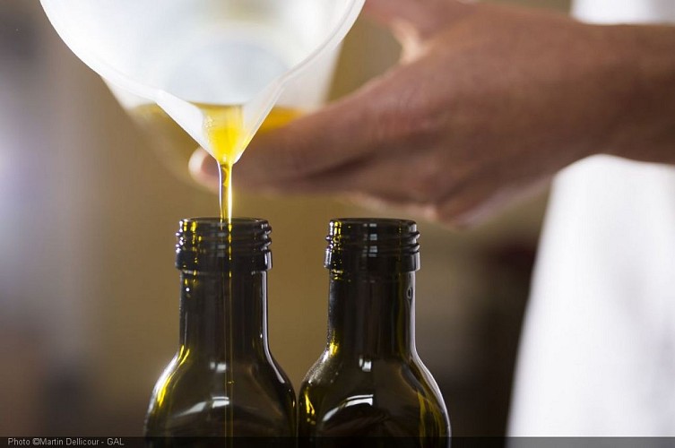 ©Martin_Dellicour_GAL_DSC4687_HD_300dpi [50%].jpg