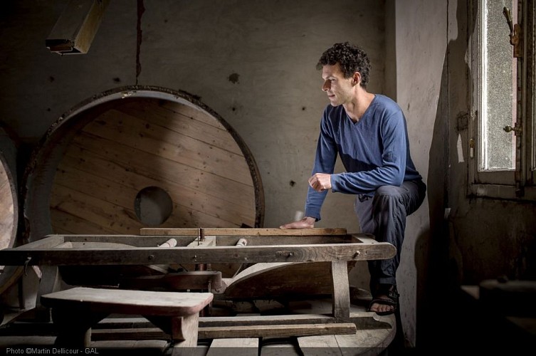 ©Martin_Dellicour_GAL_DSC4523_HD_300dpi [50%].jpg