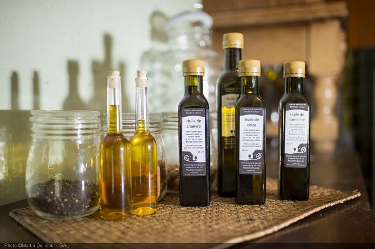 ©Martin_Dellicour_GAL_DSC4726_HD_300dpi [50%].jpg