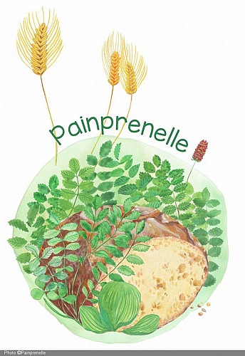Painprenelle.jpg