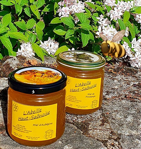 283663656_720125865994459_4728435241546045915_n