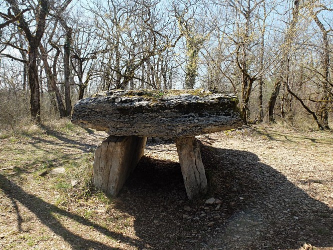 A la découverte des dolmens