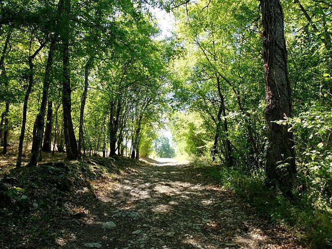 Vers le hameau de Fontaynous