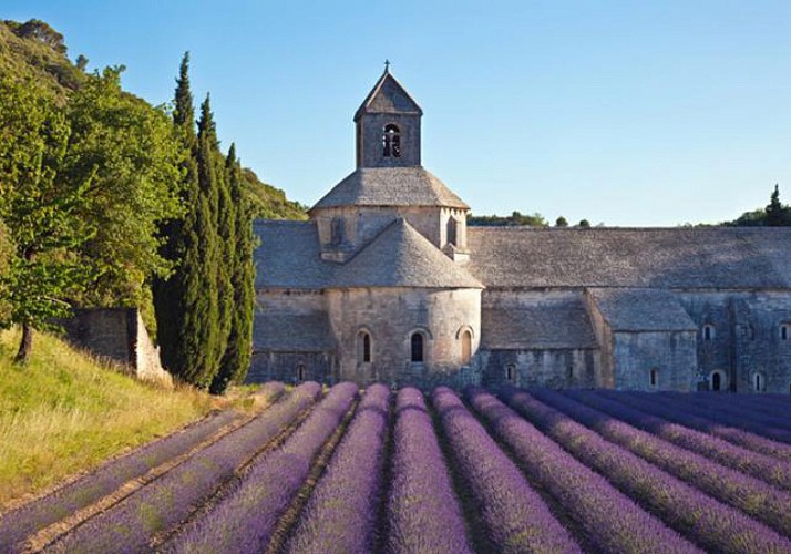 Découverte des champs de  Lavande en floraison et marchés provençaux