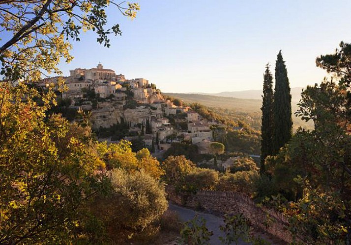 Découverte des champs de  Lavande en floraison et marchés provençaux