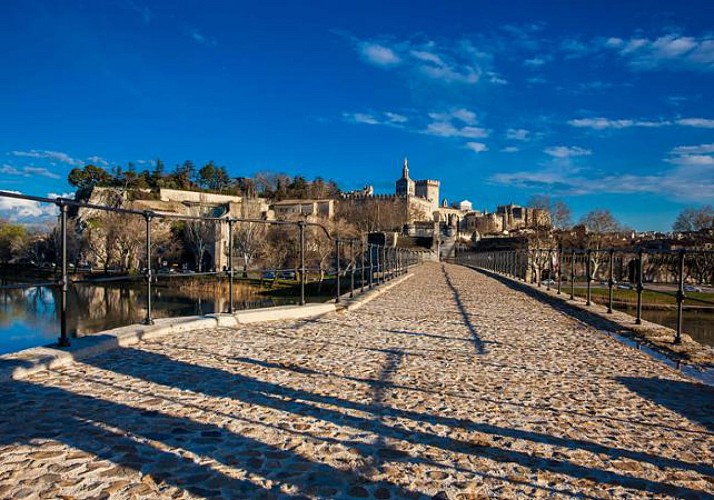 Tasting and visit to the wineries: Châteauneuf-du-Pape, the Rhone Valley and Tavel