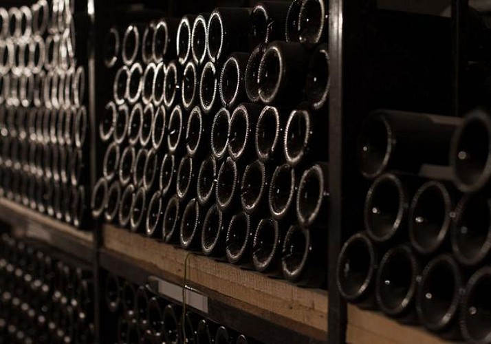 Dégustations et visite de domaines viticoles : Châteauneuf-du-Pape, Vallée du Rhône et Tavel