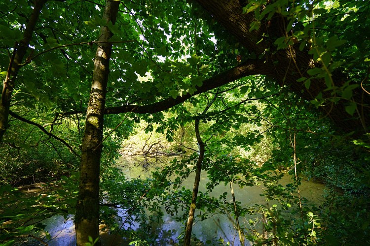 MTSO_SPY_28062019_0059