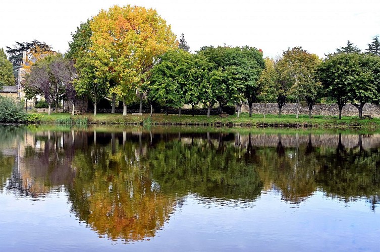 Aire de pique-nique de Nalliers ©Nalliers