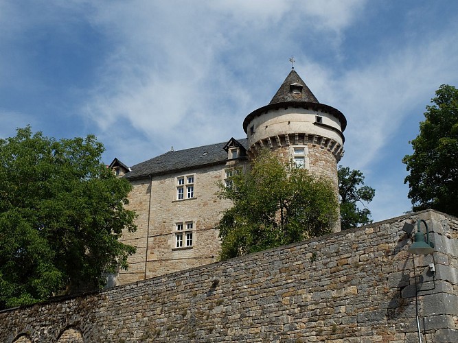 Château de Saint-Rémy