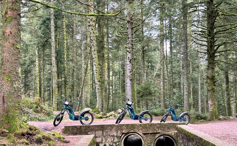 Trott'in Vosges - Verleih von elektrischen Tretrollern