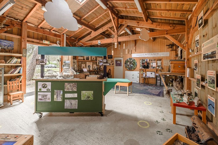 Karine Medina Photographe--3