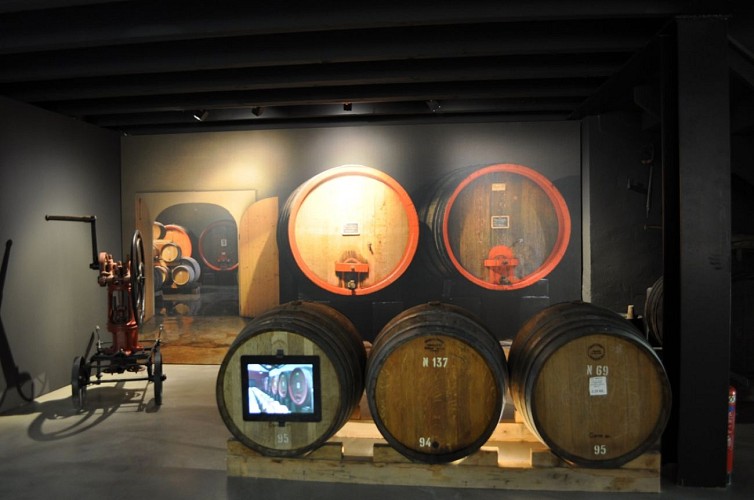 Musée du Vin - Maison Brotte