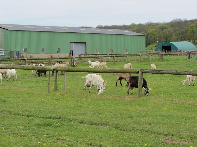 La Doudou farm