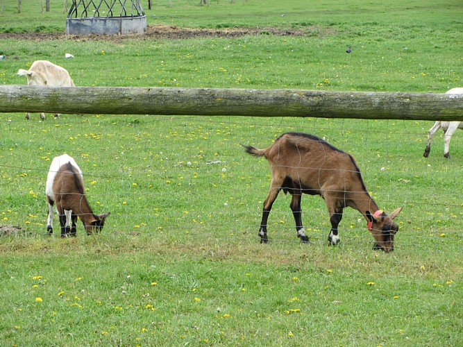 La Doudou farm