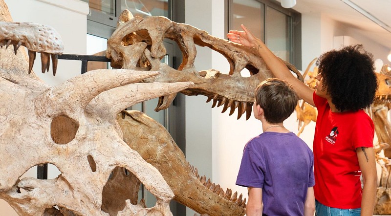 Muséum de l'Ardèche : fossiles et dinosaures