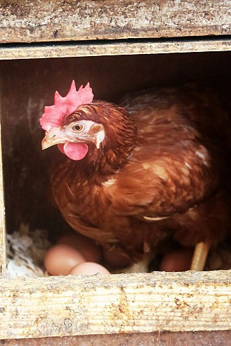 La Ferme des Fourneaux