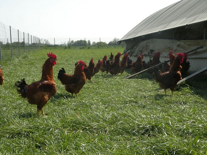 La Ferme des Fourneaux