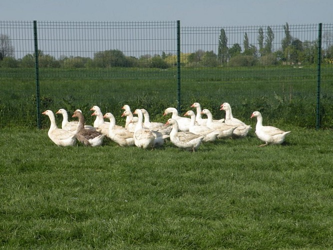 La Ferme des Fourneaux